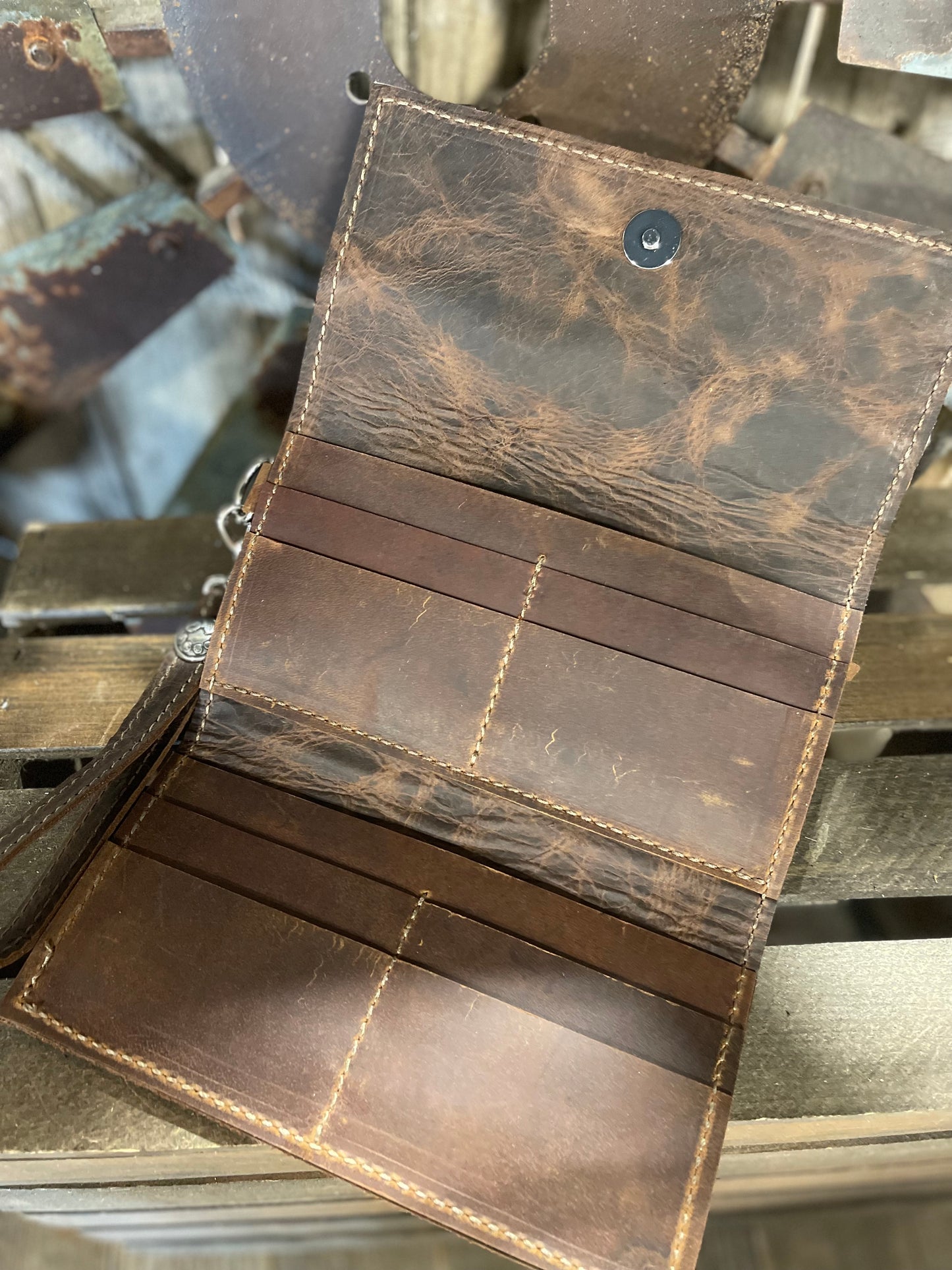 Trifold Zebra 12