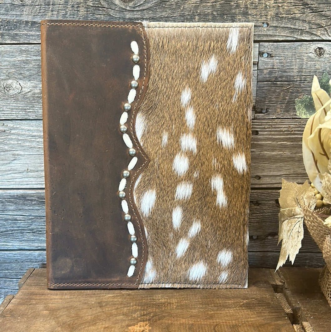 Portfolio E