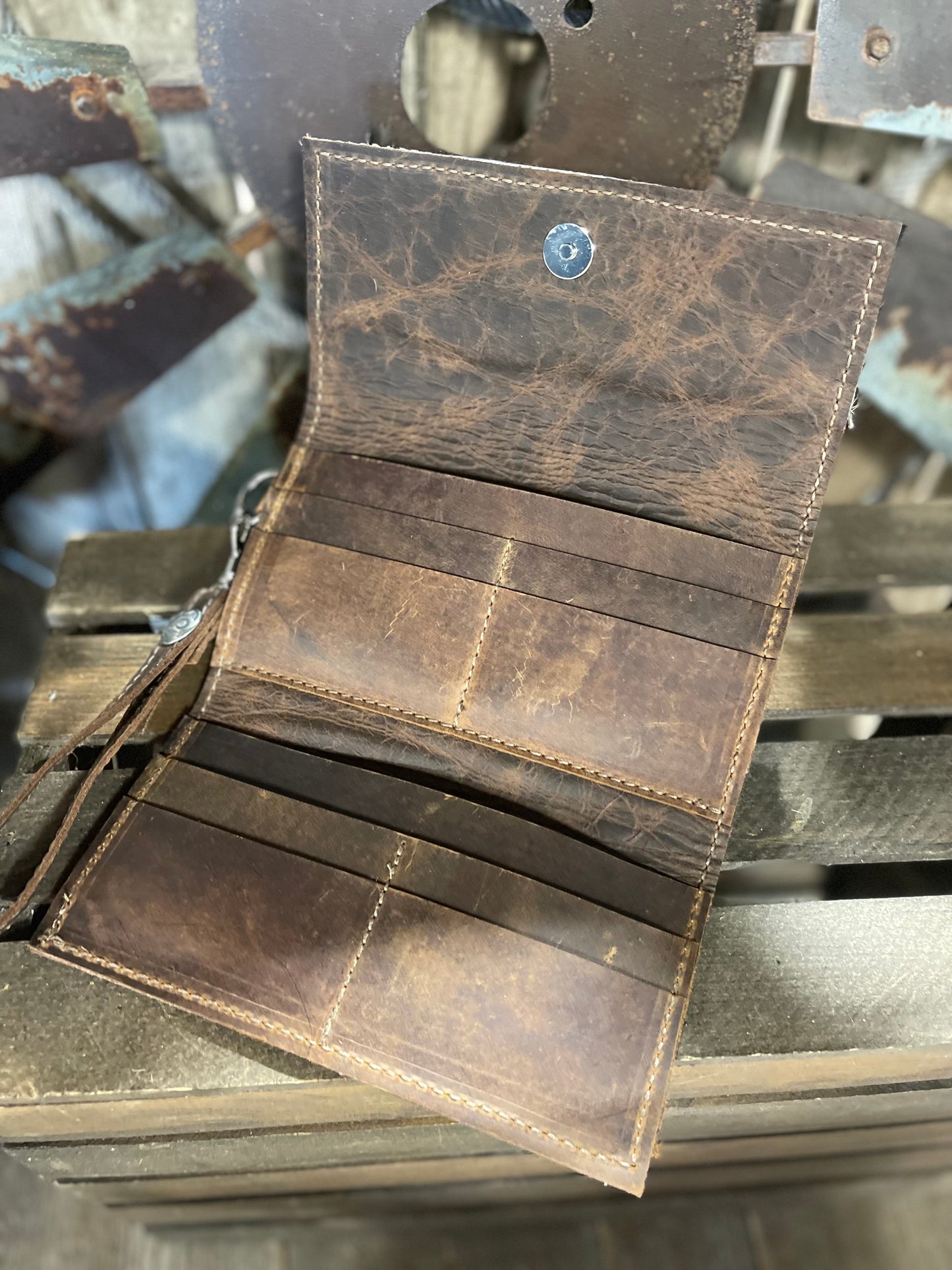 Trifold Zebra 10